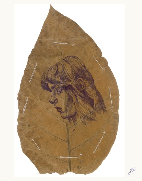 The Morro Leaf