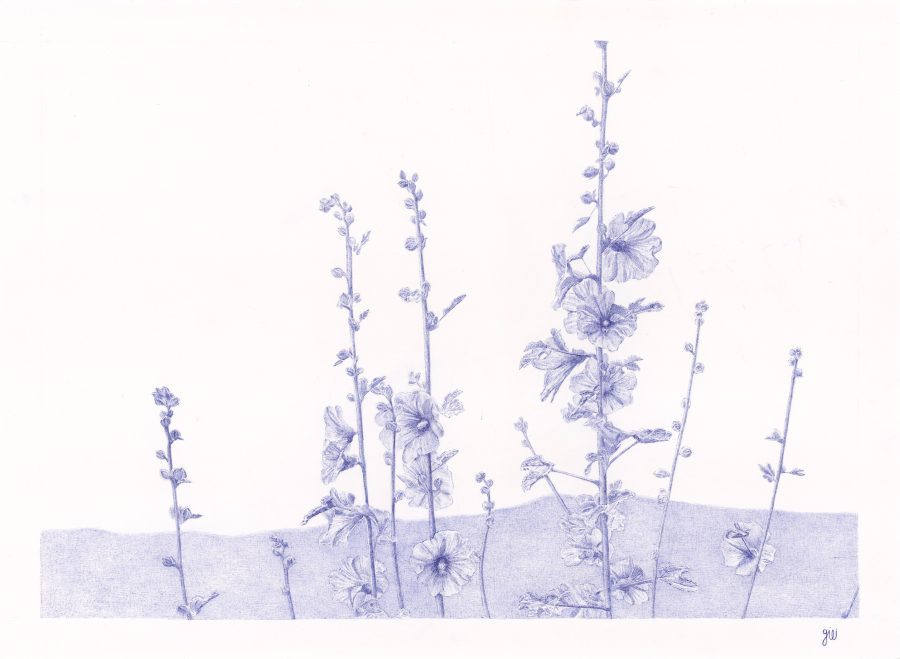 הפרח של השביל — The Trail’s Flower
